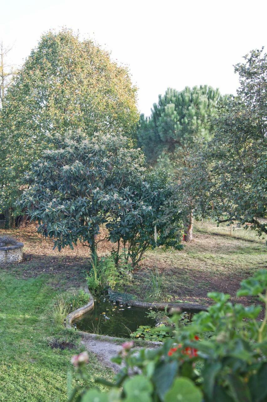 Le Grenier De Louisette Libourne Exterior foto